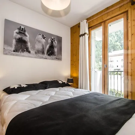 Calme 3 Etoiles Avec Wi-fi Et Parking, - Fr-1-343-212 * Σαμονί