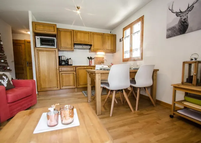 Апартаменти Calme 3 Etoiles Avec Wi-fi Et Parking, - Fr-1-343-212 Шамоні