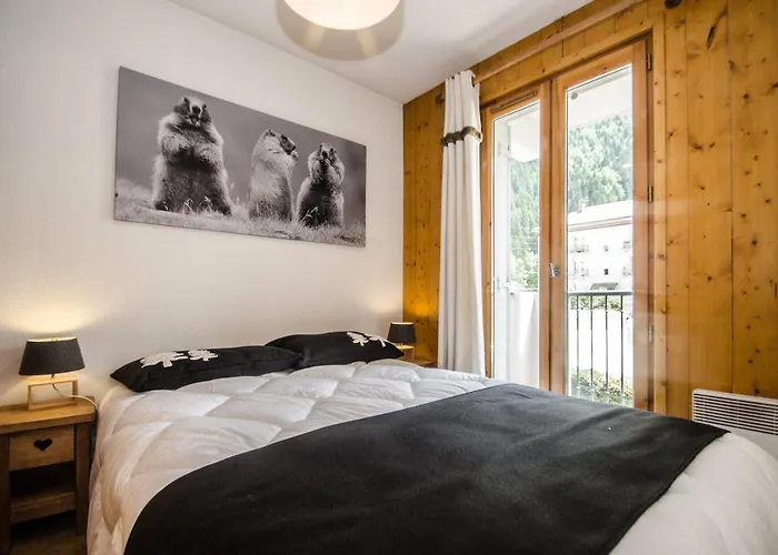 Calme 3 Etoiles Avec Wi-fi Et Parking, - Fr-1-343-212 * Chamonix